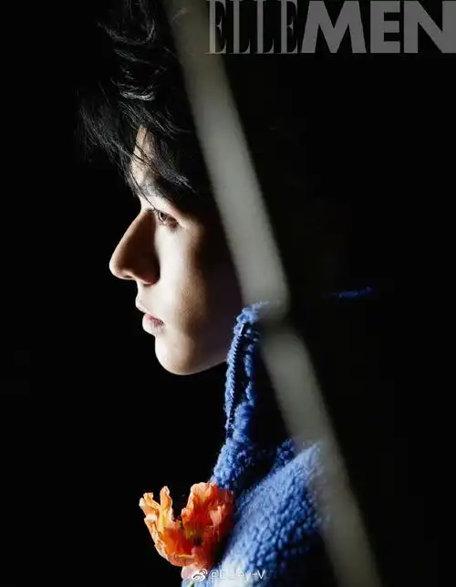 龚俊草木系胶片大片##龚俊ellemen春日葳蕤封面大片