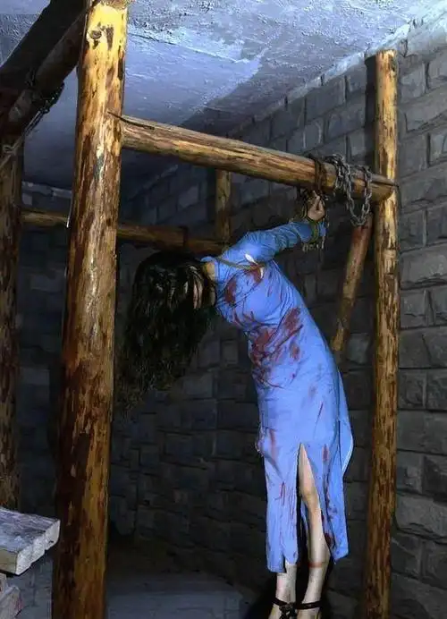 李洗凡知道一进入了日军的魔窟,自己绝对没有好的结果,所以她做足了