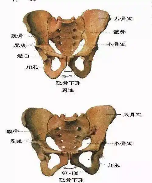 专业骨盆修护-杭州社区-大众点评网