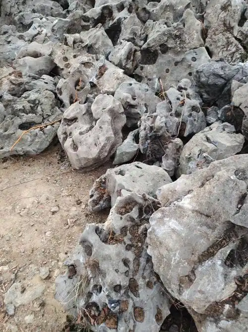 天然太湖石地产景观石市政假山石