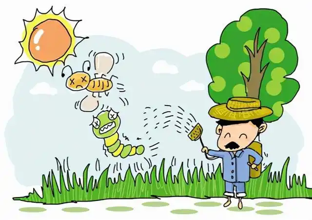 黄花病虫害防控"冬春行动"计划启动