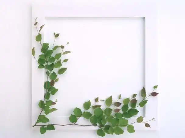 精美的花边框(写字模板)彼岸桃花珍藏