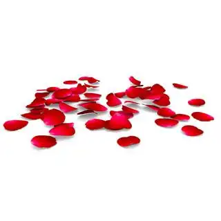 玫瑰花瓣掉在地板上