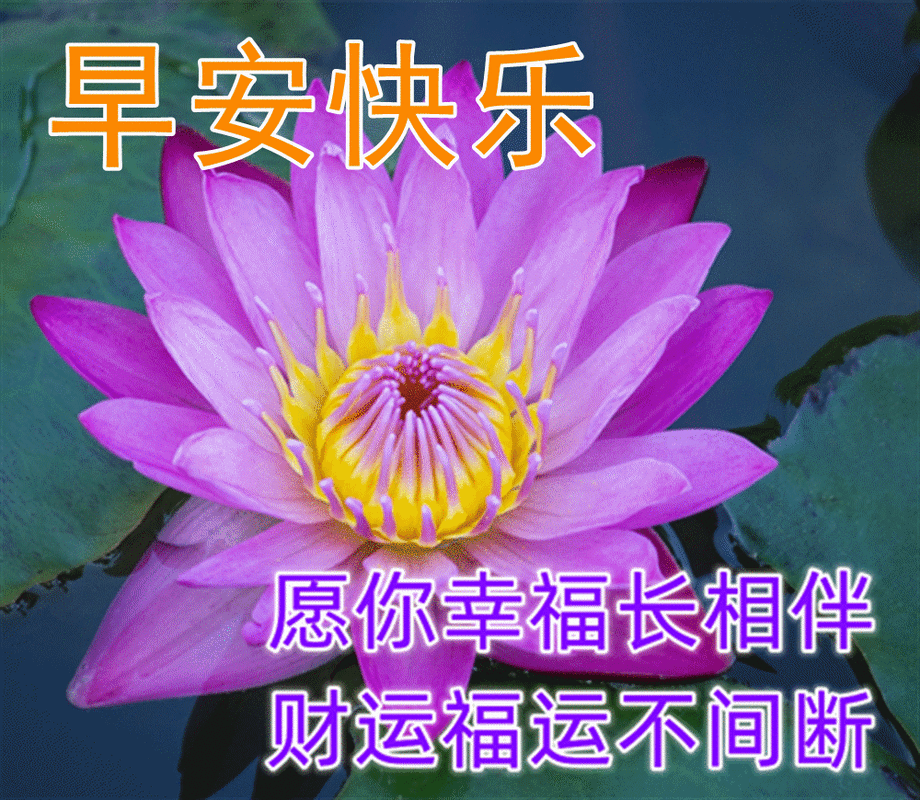 非常漂亮好看的早晨好问候动态图片 微信最美早安问候语短信集锦