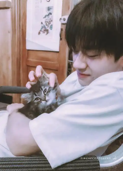 易烊千玺撸猫的样子##易烊千玺送你一朵小红花