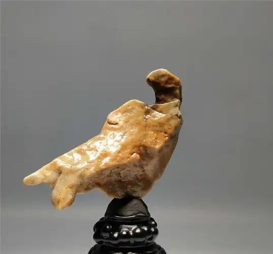 奇石界的动物世界,一饱眼福!