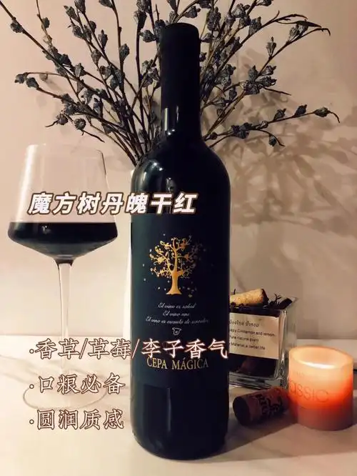 今日的快乐质地柔美的百搭口粮