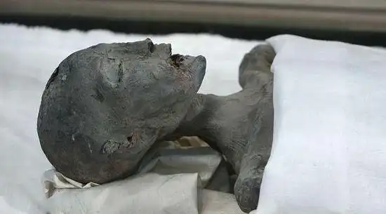 埃及弯曲金字塔内部图曝光:惊现2处神秘墓穴