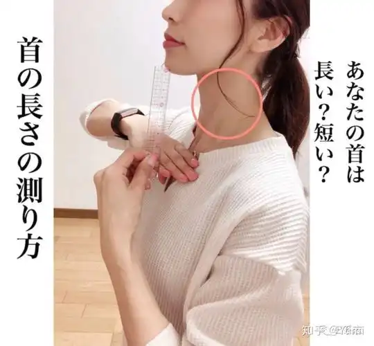 女生脖子太短,如何让它变长? - 知乎
