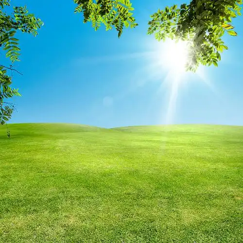 空旷的绿色草地覆盖着阳光灿烂的天空图片