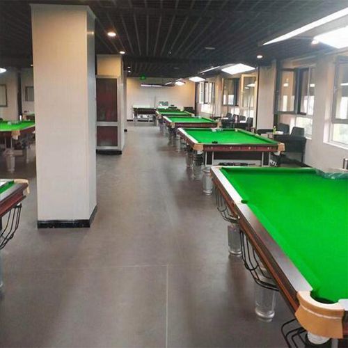 室内地垫pvc塑胶运动地板专业防滑地胶 台球厅专用地胶 3.5mm厚