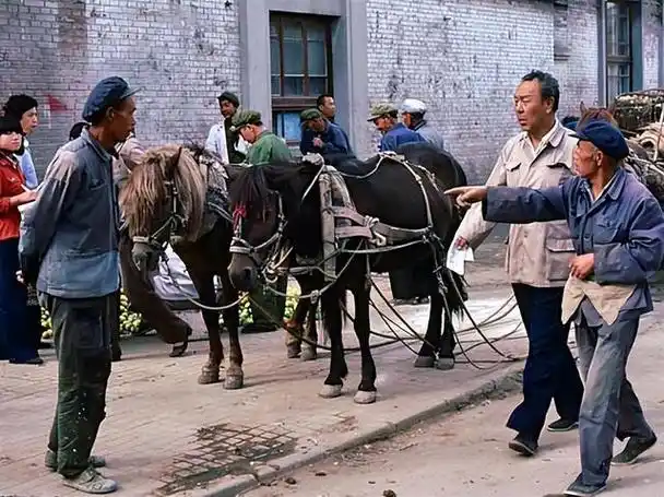 80年代老照片,原来这就是我们父辈所经历过的生活