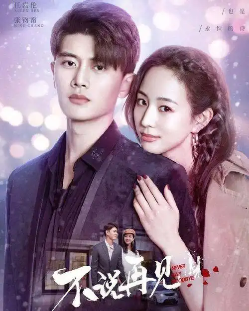 不说再见值得追的警匪片