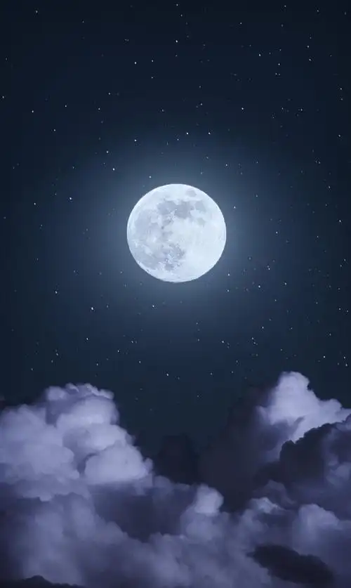 720_1205竖版 竖屏