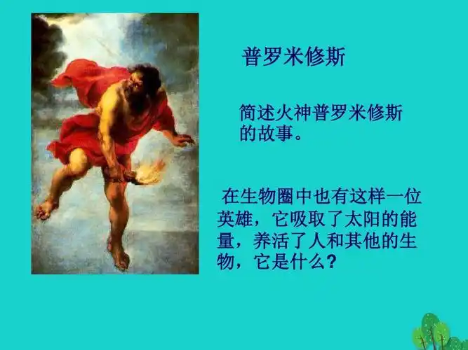 [教学课件]七年级生物上册 第三单元 第七章 第1