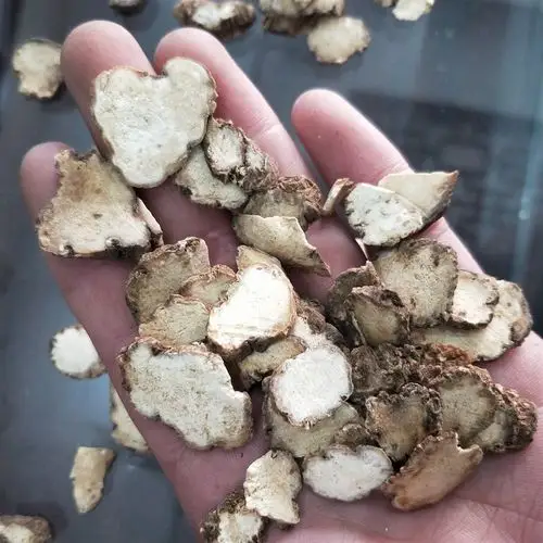 重楼 尼泊尔重楼统货 产地 海外