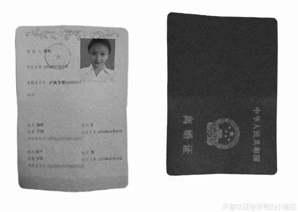 网友晒出陶虹和杨子的离婚证