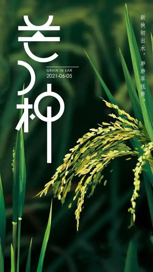芒种_节气