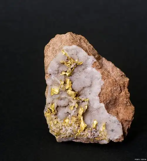 故浮选是处理金矿石的重要方法之一金常与很多硫化矿物共生,特别是常