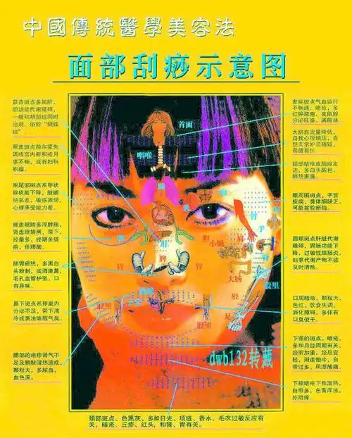 中医面部刮痧示意图