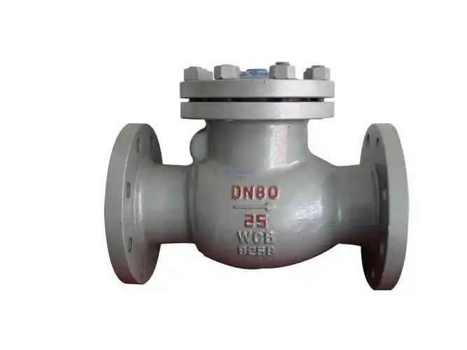 温州专业生产铸钢止回阀