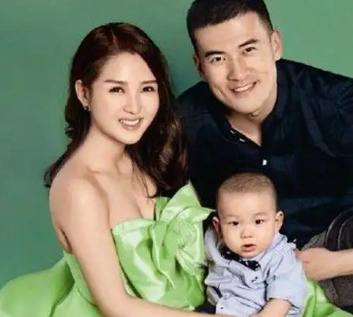何洁自曝已怀二胎何洁老公赫子铭身世背景揭秘