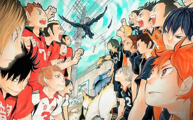 剧场版 ova[bd/nc/op/ed/特典]排球少年