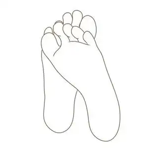 女性或男性脚掌赤脚底部视图.