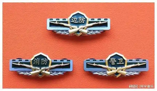 毛启国:漫谈武警部队废止的22种16式胸标