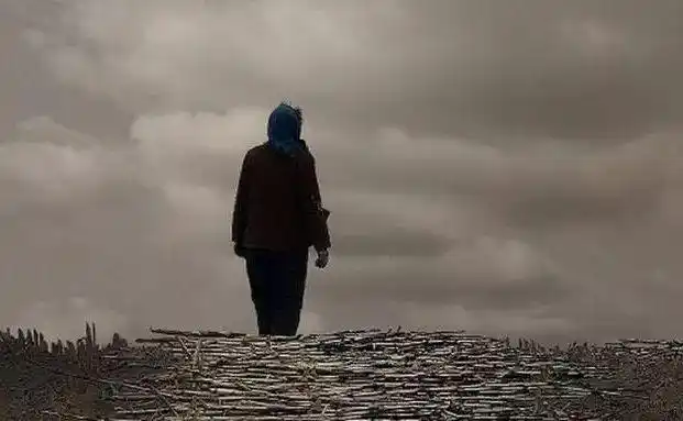 没有母亲的母亲节