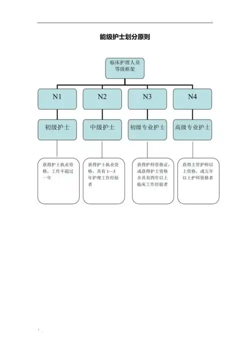 能级护士划分原则