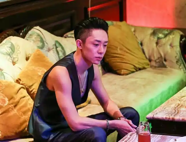 护花高手在都市叶少杰很坏李泽宇却很暖