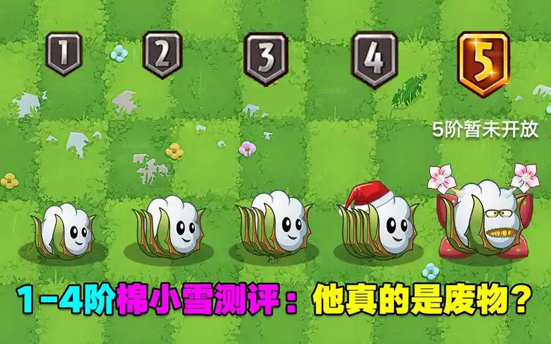 14阶棉小雪测评攻击力不错就是命中率感人