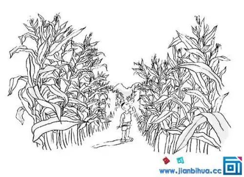玉米地简笔简笔画