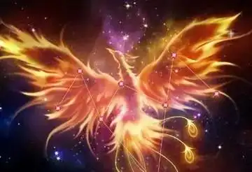 浴火凤凰头像_微信头像图片大全