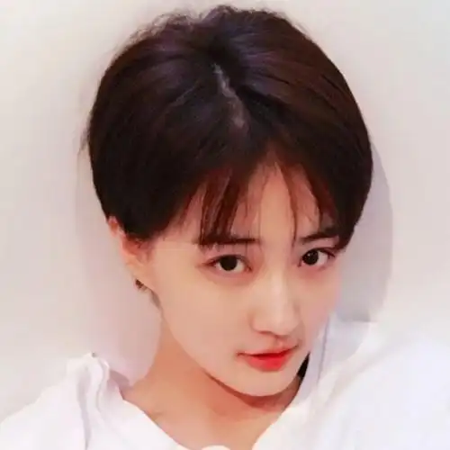 帅气 奶奶灰_假发女短发bobo韩国空气短直发帅气逼 奶奶灰假小子徐璐