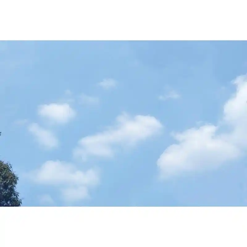 心灵的干净来源于万物的源头