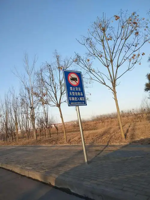 四年级三班,张世程,"小手拉大手"实践活动,共守文明交通,安全出行!