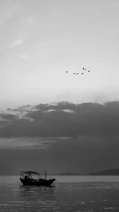 孤独的手机壁纸