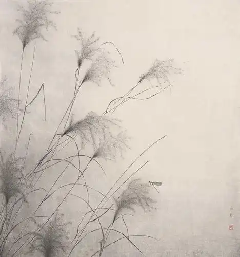 李水歌静物镜心