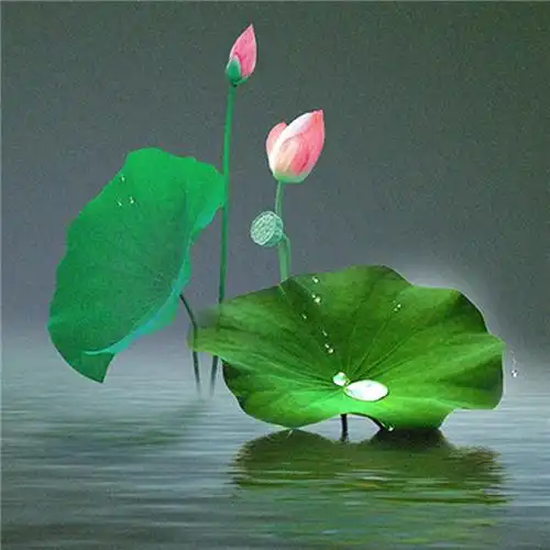 适合一辈子风景头像图片