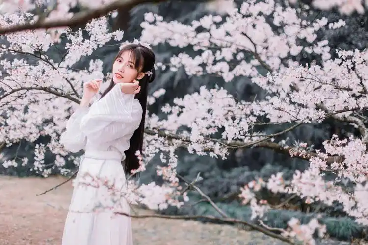 银临:一曲一浮生,以歌入梦,重回诗酒年华