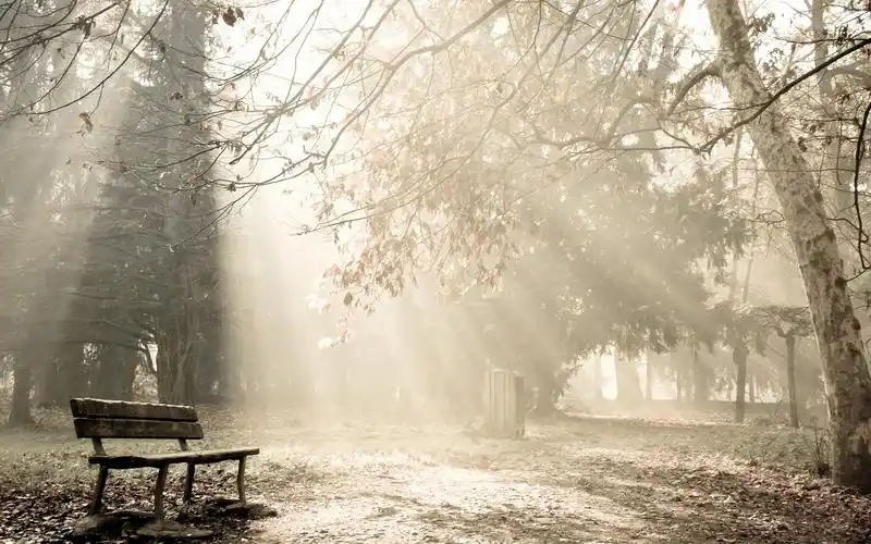 朦朦胧胧的清晨之雾