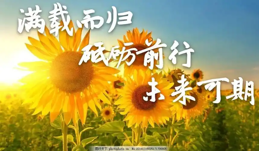 【满载而归 砥砺前行 未来可期】点军区2020年暑期班主任及德育工作