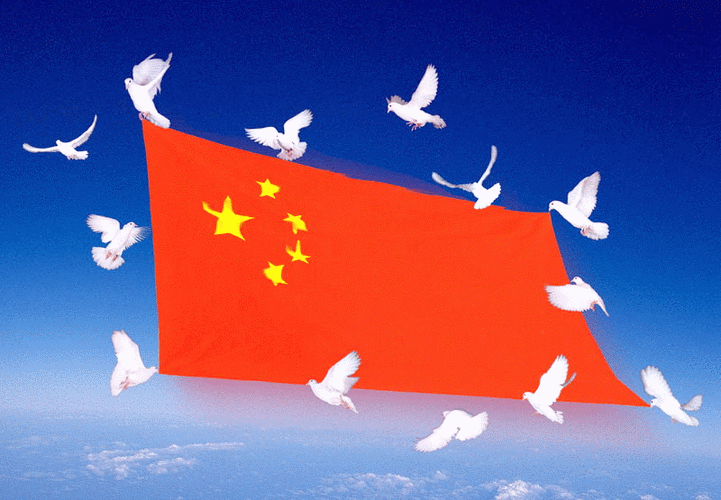 800_555gif 动态图 动图