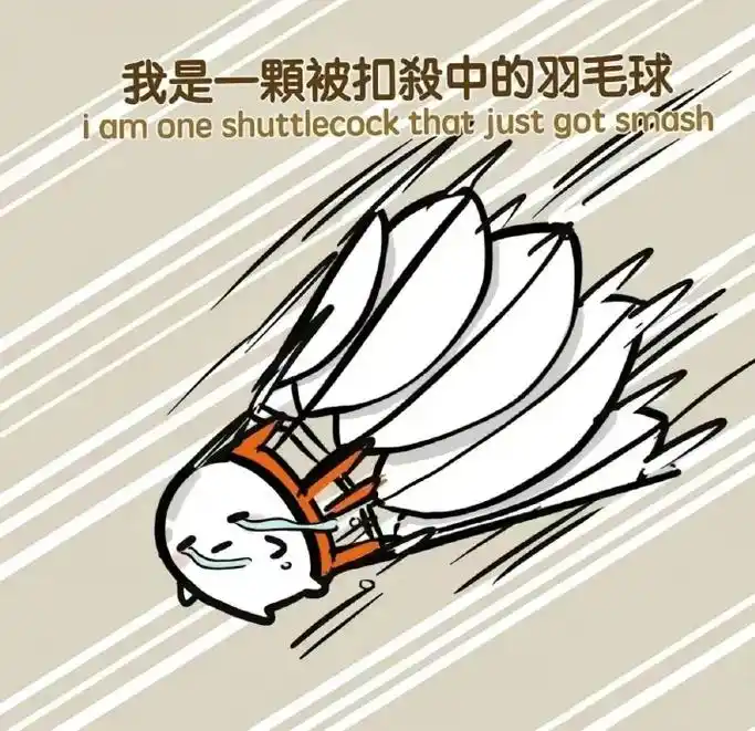 动画 #表情包 #画风突变 #羽毛球 #扣杀 杀死小羽学长 - 抖音