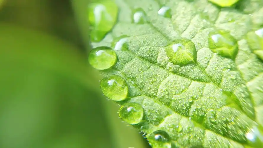 九月摄影精选(一)云淡风清,岁月安好