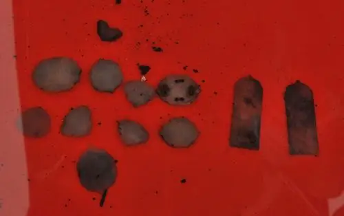 明代宁王后裔古尸出土龙袍玉带完好