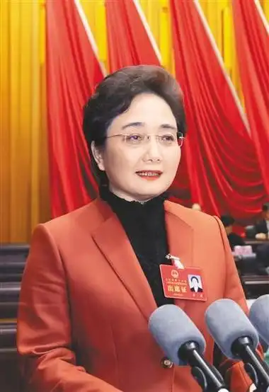 全国人大代表,广西壮族自治区北海市委副书记,市长李莉:全力建设向海