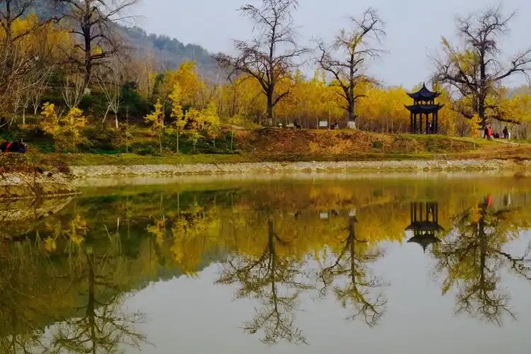 湖北随州银杏谷